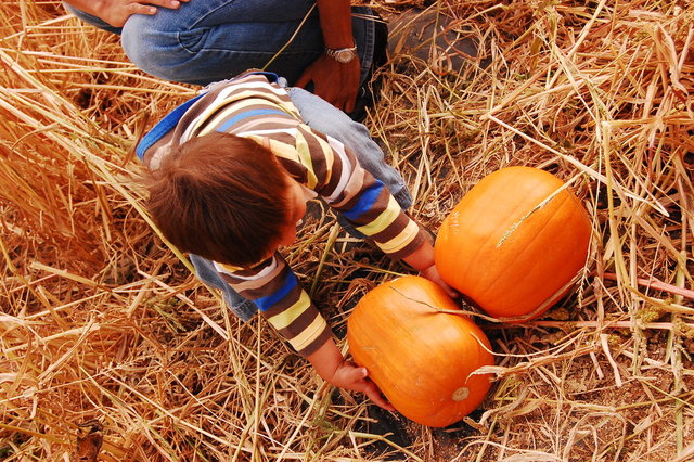 William_2010_10_09 039.jpg