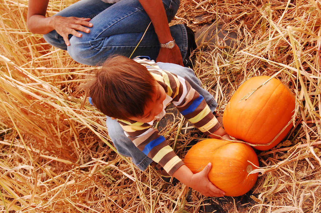 William_2010_10_09 040.jpg