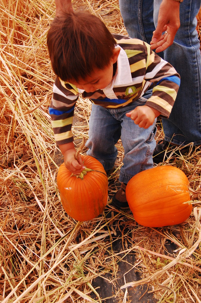 William_2010_10_09 052.jpg