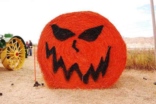 William_2010_10_09 095.jpg