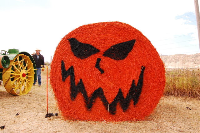 William_2010_10_09 096.jpg