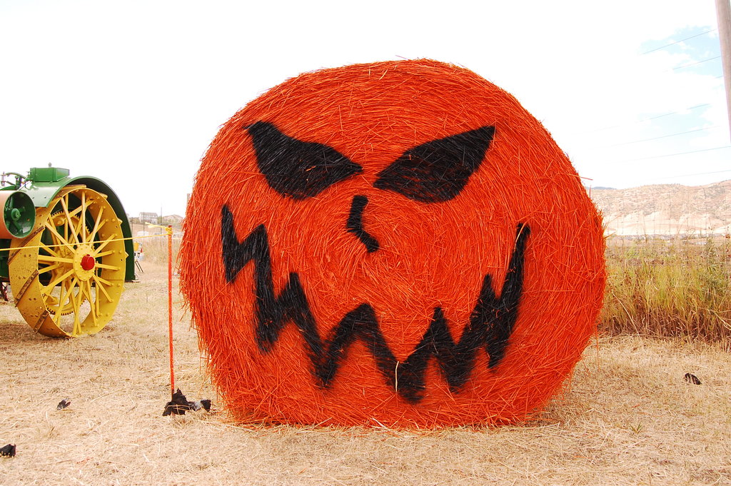 William_2010_10_09 097.jpg