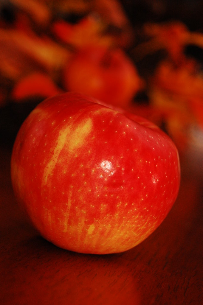 Silly_2010_11_20 007.jpg