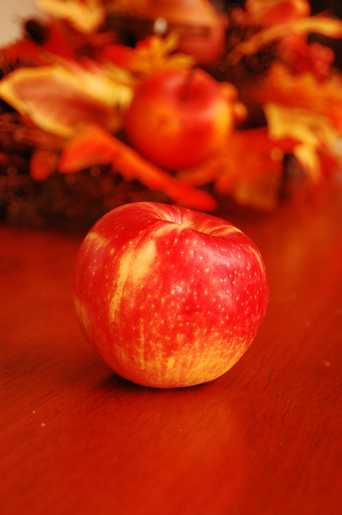 Silly_2010_11_20 008.jpg