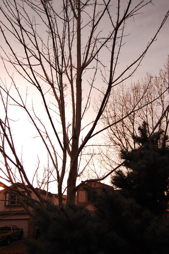 Silly_2010_11_20 015.jpg