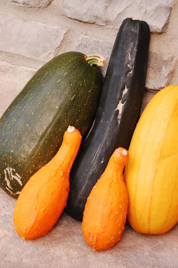 Silly_2010_11_20 019.jpg