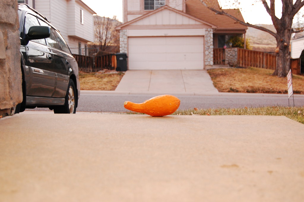 Silly_2010_11_20 024.jpg