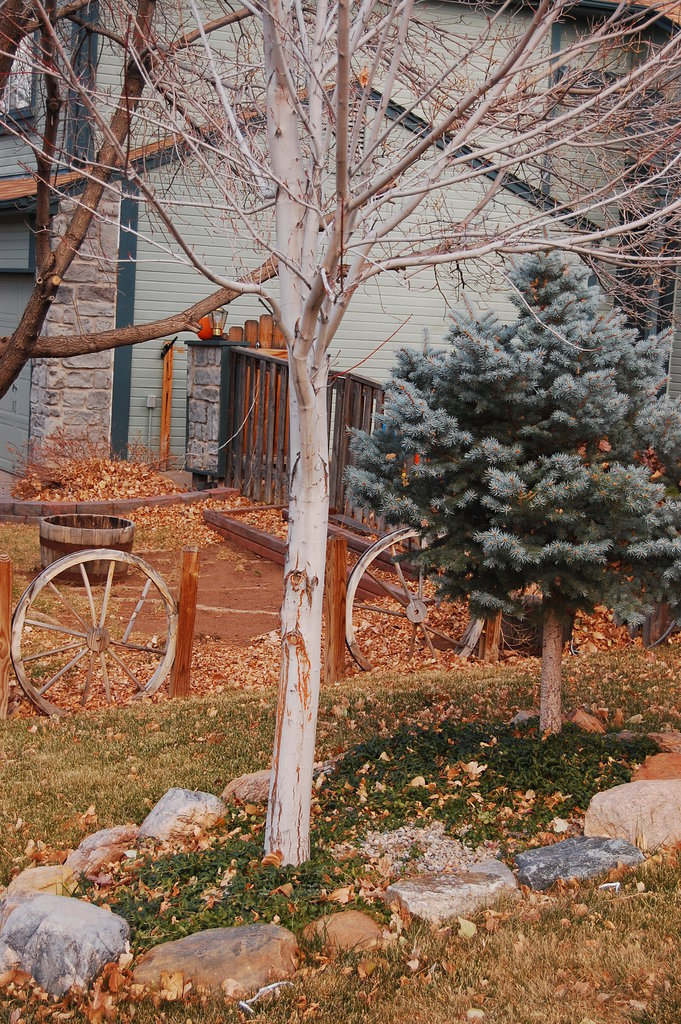 William_2010_11_21 007.jpg