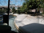 Disney_01 005.jpg