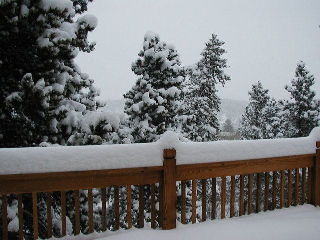 Thanksgiving_2004 019.jpg