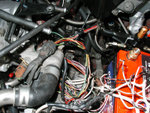 engine_bay_2.jpg