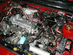 engine_bay_3.jpg