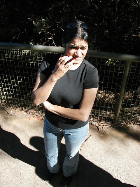 Australia2006 016.jpg