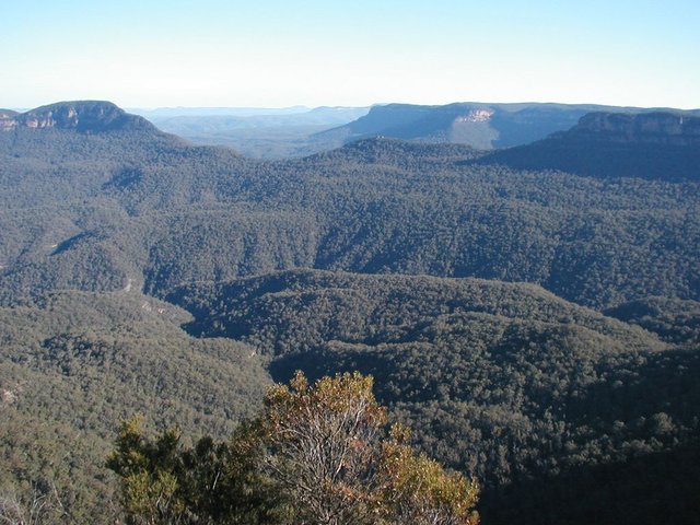 Australia2006 033.jpg