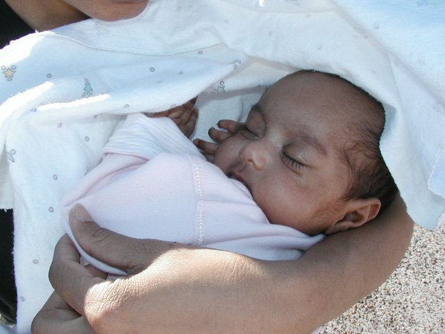 Australia2006 046.jpg