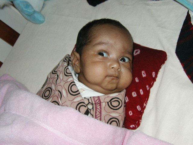 Australia2006 048.jpg