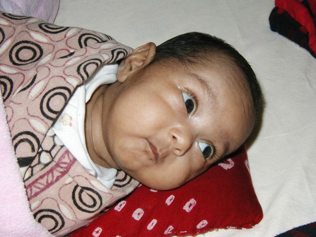 Australia2006 049.jpg