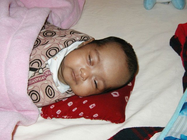 Australia2006 051.jpg