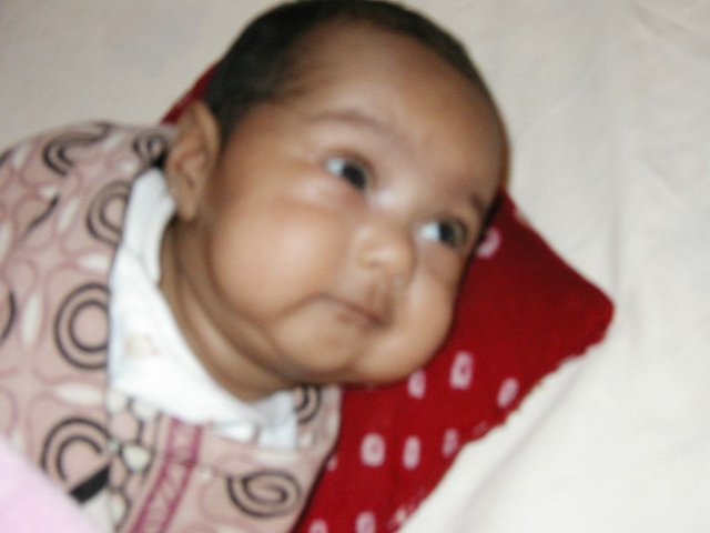 Australia2006 052.jpg