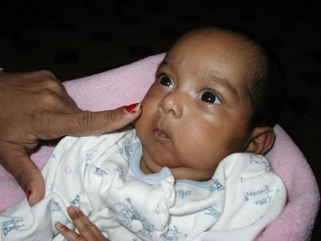 Australia2006 053.jpg