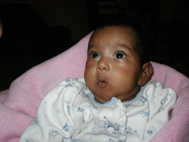 Australia2006 054.jpg