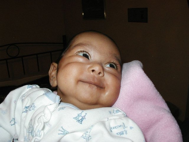 Australia2006 058.jpg