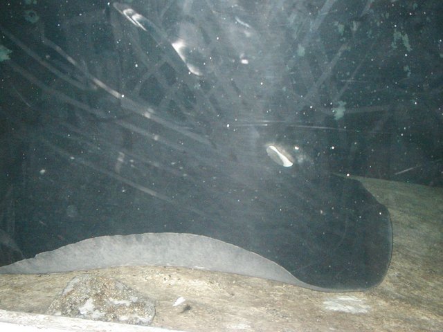 Australia2006 095.jpg