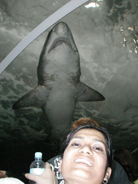 Australia2006 102.jpg