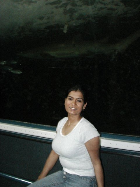 Australia2006 103.jpg