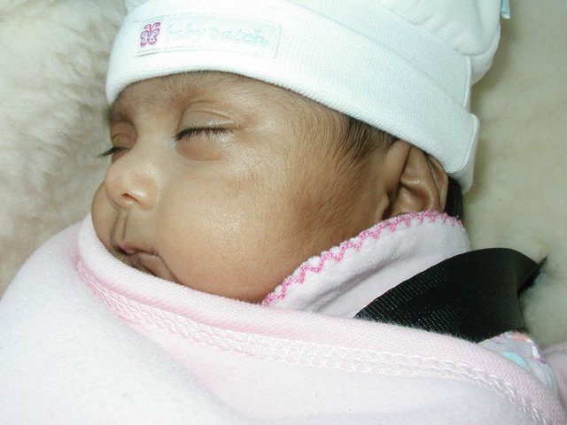 Australia2006 125.jpg