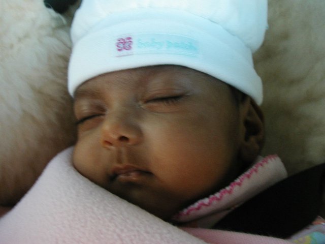 Australia2006 127.jpg