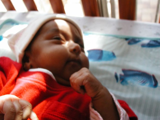 Australia2006 142.jpg