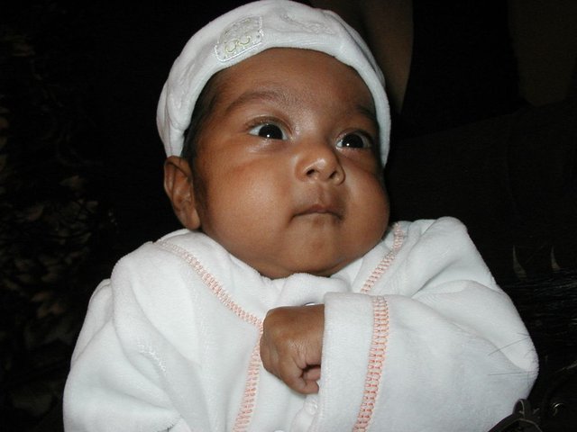 Australia2006 145.jpg