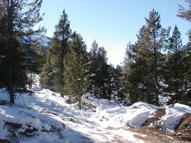 2005Thanksgiving 007.jpg