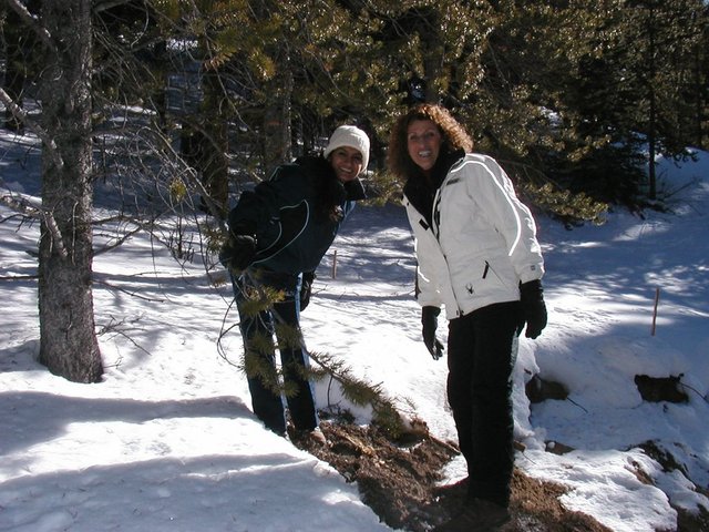 2005Thanksgiving 008.jpg