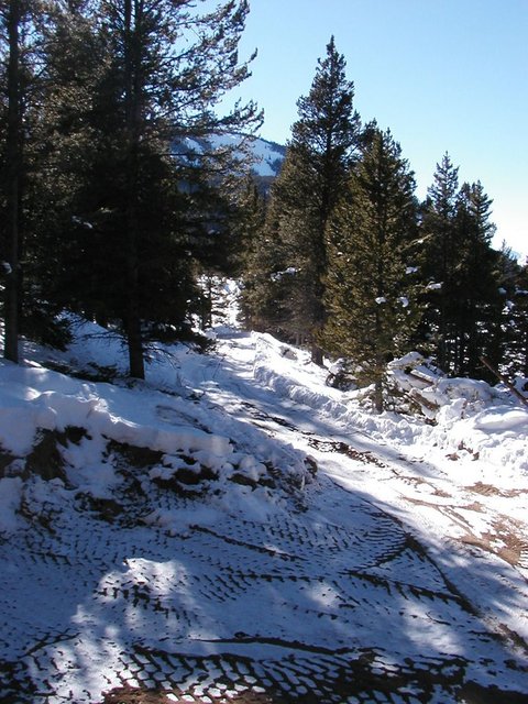 2005Thanksgiving 009.jpg