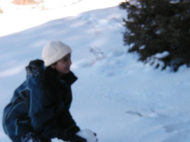 2005Thanksgiving 012.jpg