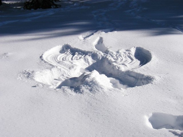 2005Thanksgiving 014.jpg