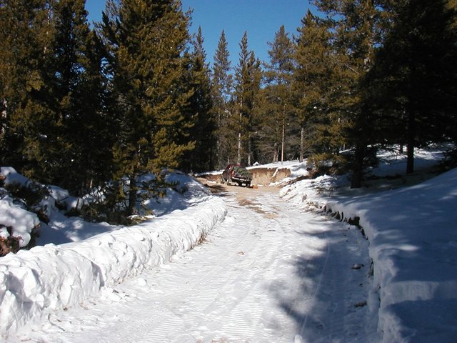 2005Thanksgiving 018.jpg