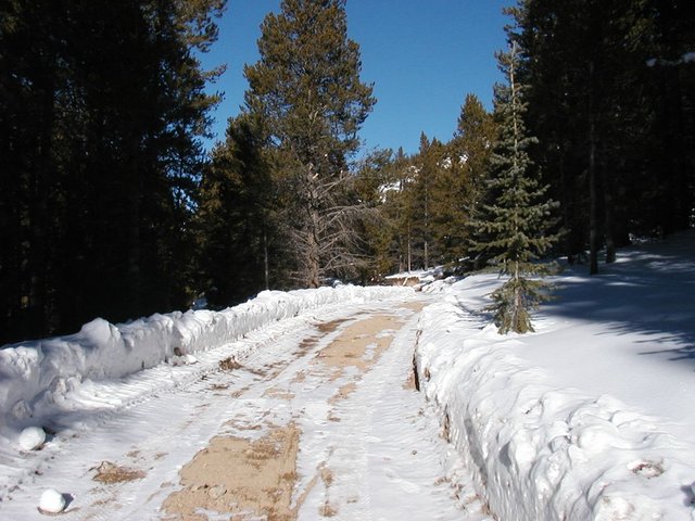 2005Thanksgiving 020.jpg