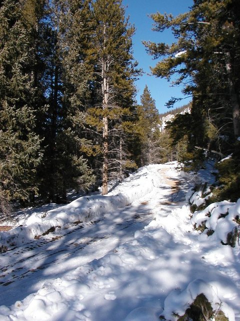 2005Thanksgiving 022.jpg