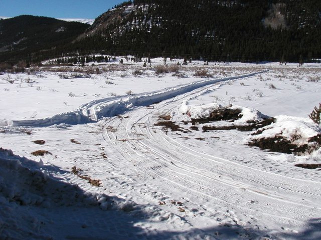 2005Thanksgiving 023.jpg