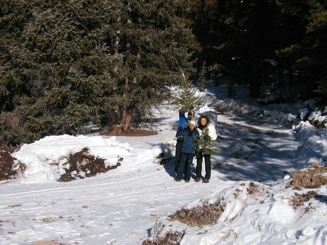 2005Thanksgiving 027.jpg