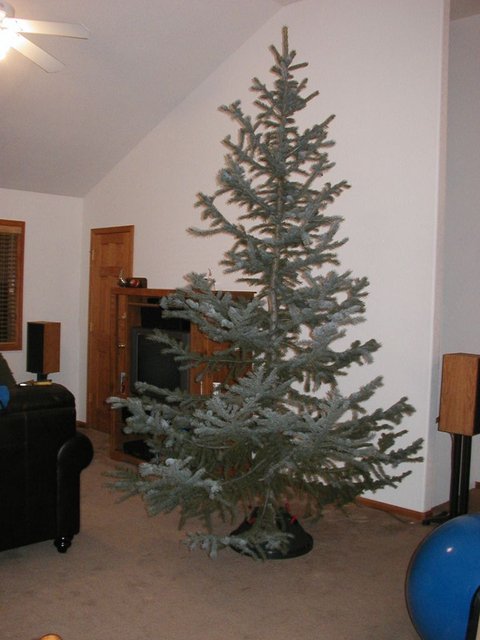 2005Thanksgiving 028.jpg